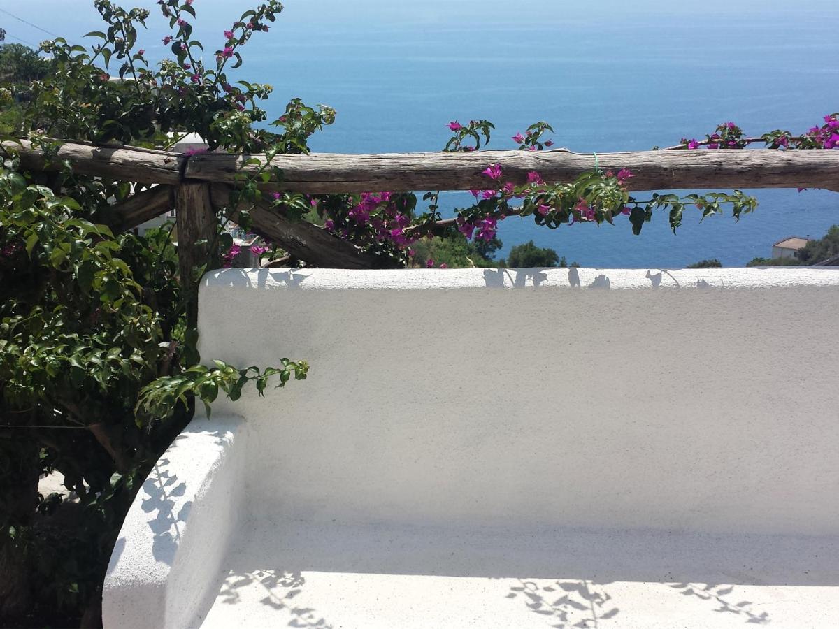 Poggio Antico House *